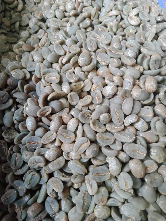 Mt. Matutum, Philippines - Specialty Arabica Coffee - Green Beans - Kape de Filipina