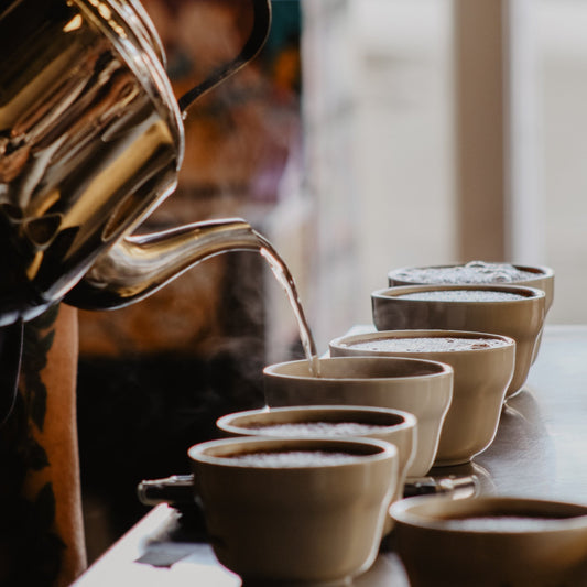 Philippine Coffee Tasting Workshop (English) - Kape de Filipina