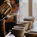 Introduction to Specialty Coffee and Sensory Training Workshop (English)